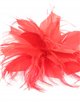 Feather fascinator hair clip rojo