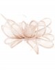 Feather fascinator hair clip taupe