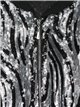 Zebra bomber jacket with sequins plata