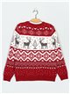 Christmas reindeer sweater (S/M-L/XL)