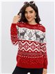 Christmas reindeer sweater (S/M-L/XL)